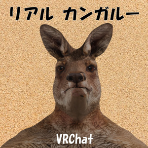 オリジナル3Dモデル：リアルカンガルー kangaroo