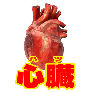 心臓