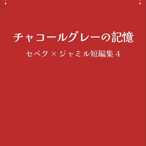チャコールグレーの記憶　セベク×ジャミル短編集4