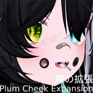 💀Plum Cheek Expansions/ 頬の拡張💀