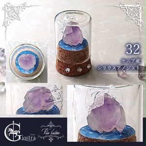 世界のマンドラゴラ - 魔法雑貨タネピリカ 人間界用直営shop - BOOTH