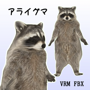 【３Dモデル】アライグマ　VRM＋FBX同封