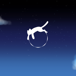 【配信用素材】星空と揺れる猫のトランジション【フリー素材】