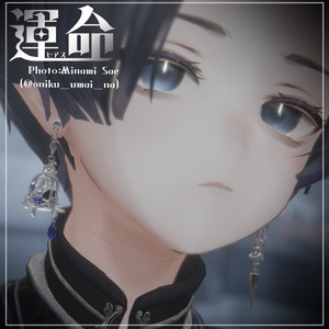 〔3Dモデル/ピアス〕運命〔Silence×Noise〕 缩略图 10