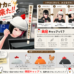 [FBX] トサカキャップ／３色
