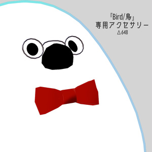 Accessories for Bird