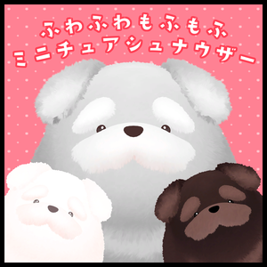 ふわふわもふもふ!!『ミニチュアシュナウザー』#sumomofu