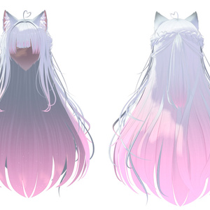 【猫ロングヘア専用】グラデーション&メッシュの変更 缩略图 4