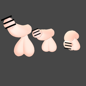 R-18 Anime Otinpo　あにめstyleたま 　3Dモデル FBX