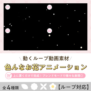 〖ループ対応 / 動画素材〗色んなお花アニメーション(全4種類) 
