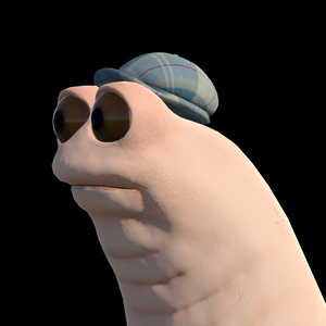 Hoodiesock【Wormiesock用衣装】 缩略图 2