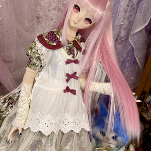 受注品】ドールさん用ハードケース DDx1W/NW - みら太な日々 - BOOTH