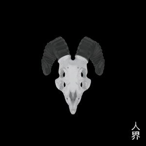 山羊頭骨