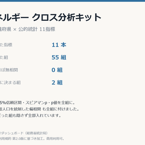 エネルギークロス分析キット 47都道府県×11指標・相関55組