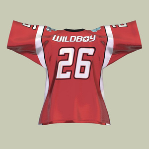 【3D衣装】Throwback Football Jersey 缩略图 7