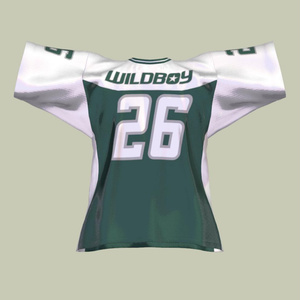 【3D衣装】Throwback Football Jersey 缩略图 11