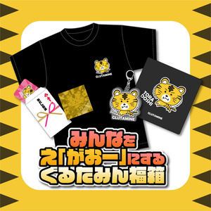 【販売終了】みんなをえ「がおー」にするぐるたみん福袋