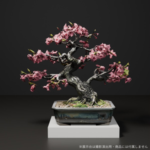盆栽 桜 花雲｜VRChat向け和風3D置物・満開の八重桜【ワールド装飾】