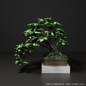 盆栽 モミジ 碧雲｜VRChat向け和風3D置物・青もみじ／新緑【ワールド装飾】