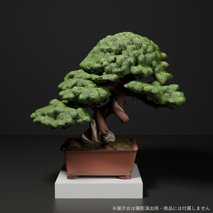 盆栽 真柏 翠蓋｜VRChat向け和風3D置物・丸屋根に茂る太幹【ワールド装飾】
