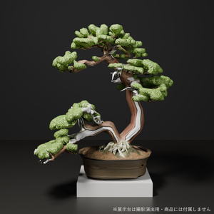 盆栽 真柏 比翼｜VRChat向け和風3D置物・寄り添う双幹の白い舎利【ワールド装飾】