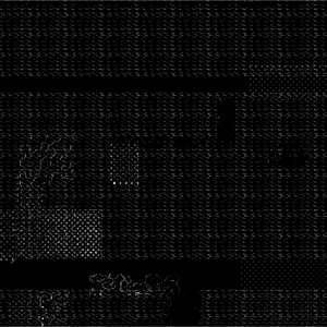 ブロックノイズ