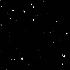 雪