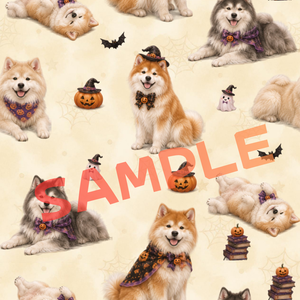 【無料お試し】モフモフ秋田犬のハロウィン背景素材（インスタ・SNS投稿用/PNG）