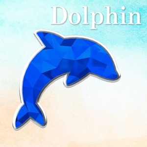 Dolphin Jewelry 汎用アクセサリー