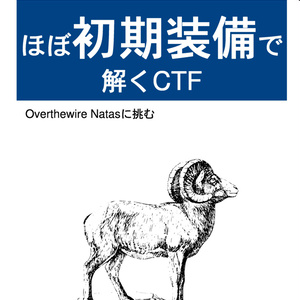 [電子書籍版] ほぼ初期装備で解くCTF