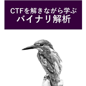 [Sample]CTFを解きながら学ぶバイナリ解析