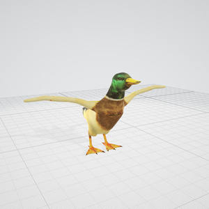 3d  　ダック