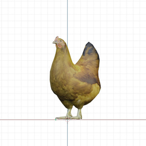 ３ｄ　ニワトリ