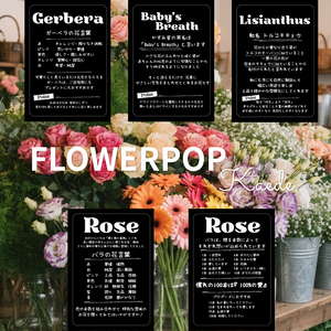 FLOWER POP ①　