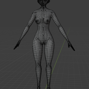 Basic body with basic rigging.