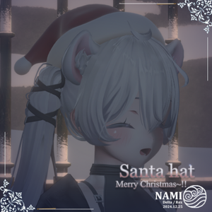 Santa hat