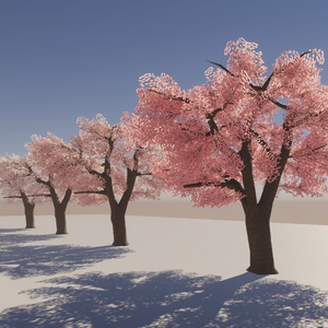 桜の３Dモデル 缩略图 4