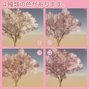 桜の３Dモデル② 缩略图 4