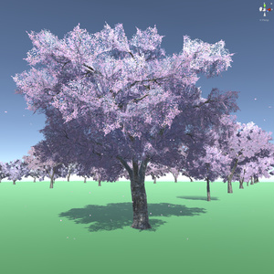 桜の３Dモデル② 缩略图 8
