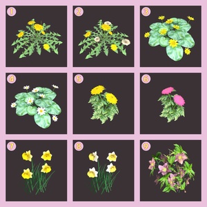 花の３Dモデル（30種類） 缩略图 2