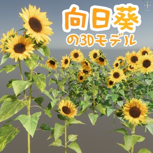 3D model of sunflower