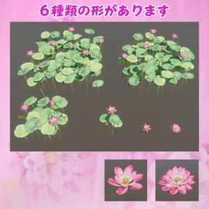 蓮の花の３Dモデル 缩略图 2