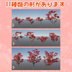 もみじの3Dモデル 缩略图 2