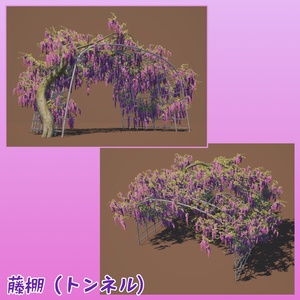 藤の木と藤棚 缩略图 4