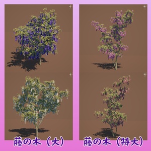 藤の木と藤棚 缩略图 6