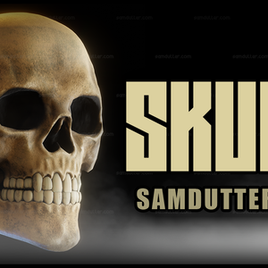 SKULL : VRChat / Unity Prop