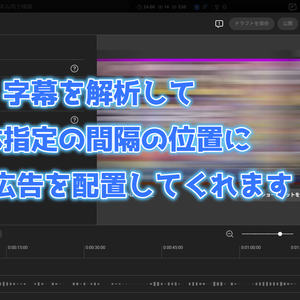 Youtube広告自動調整配置ツール