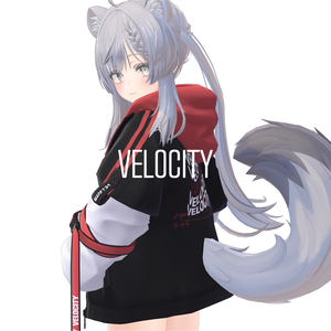 VELOCITY