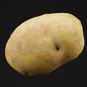 Potato Vegetable