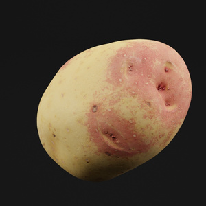 Potato Vegetable